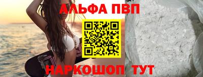шишки Тара