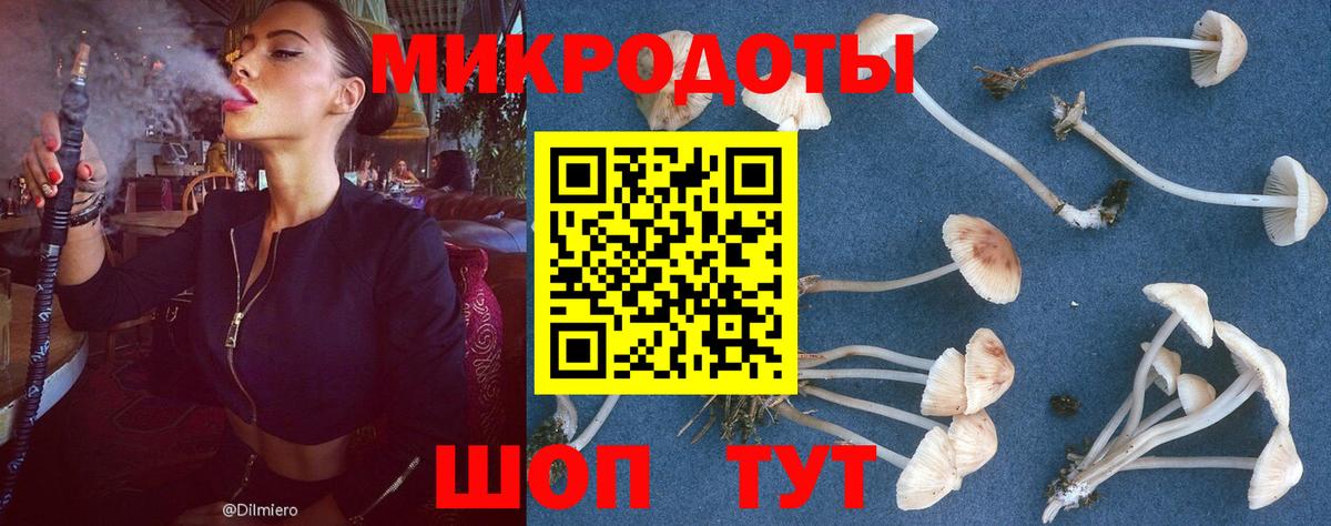 Псилоцибиновые грибы мицелий  Вход с VPN  Галлюциногенные грибы Magic Shrooms  Реж 